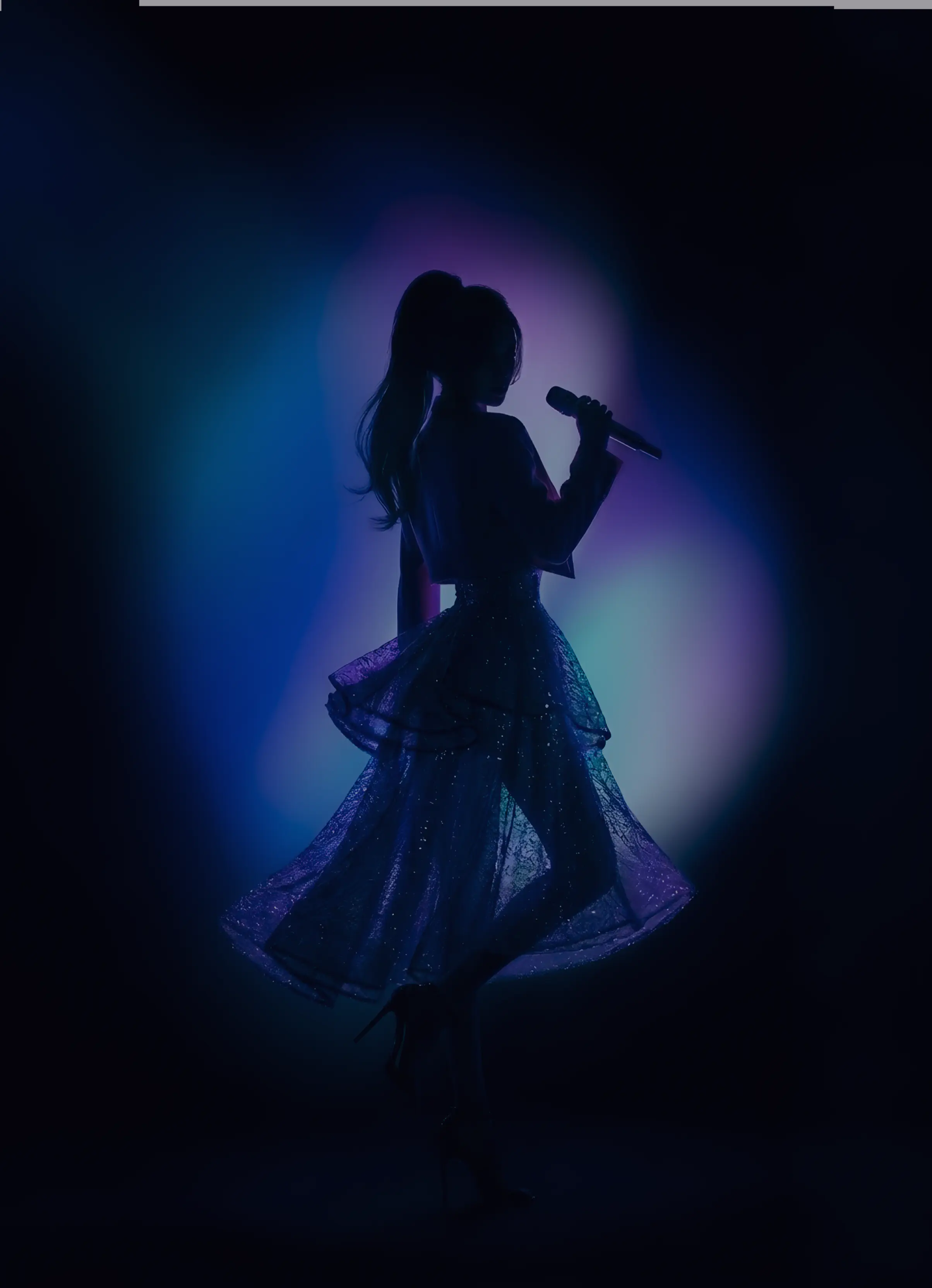 ARTIST ENTRY